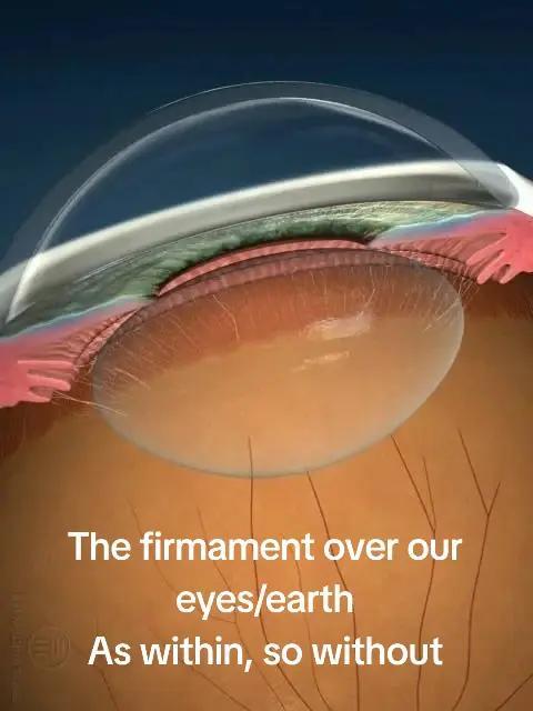 When you fail anatomy and geography in one meme.